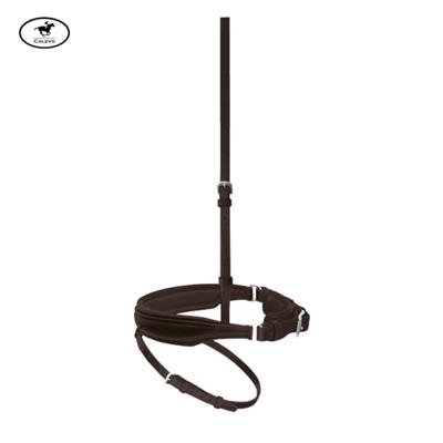 Passier Reithalfter Spezial m.Gebissringaussch.+Sperrriemen -- CALEVO.com Shop