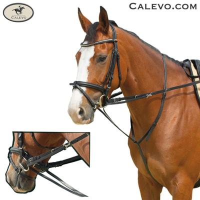 Waldhausen - Thiedemann MARTINGAL -- CALEVO.com Shop