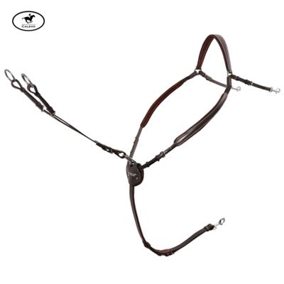 Passier - Vorderzeug Marcus Ehning -- CALEVO.com Shop