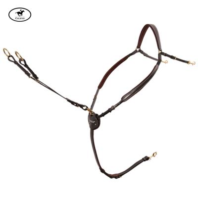 Passier - Vorderzeug Marcus Ehning -- CALEVO.com Shop