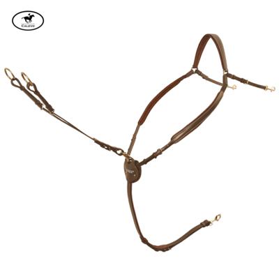 Passier - Vorderzeug Marcus Ehning -- CALEVO.com Shop