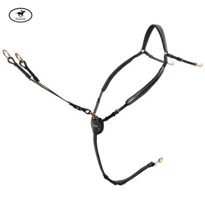 Passier - Vorderzeug Marcus Ehning -- CALEVO.com Shop