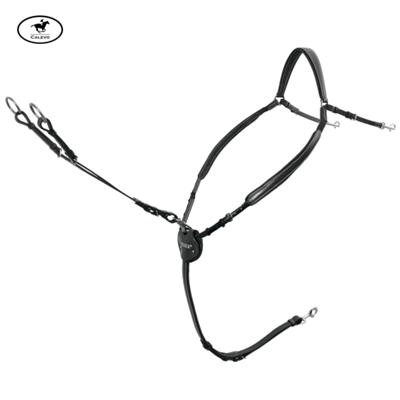 Passier - Vorderzeug Marcus Ehning -- CALEVO.com Shop