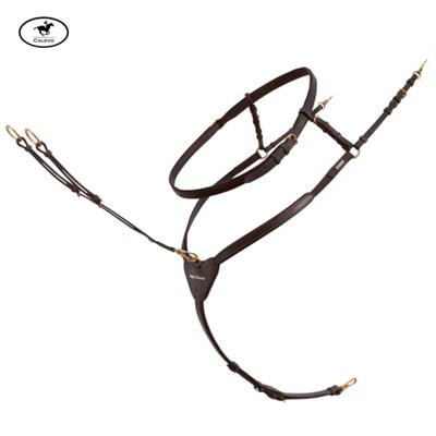 Passier - Vorderzeug Ingrid Klimke -- CALEVO.com Shop