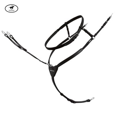 Passier - Vorderzeug Ingrid Klimke CALEVO.com Shop