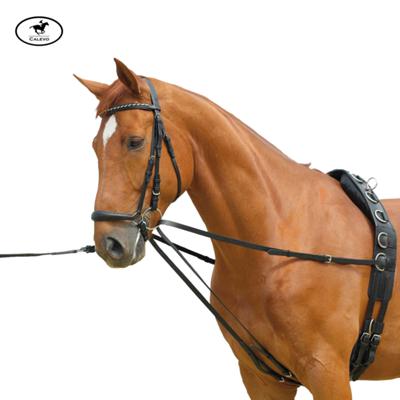 Waldhausen - Longierschlaufz�gel - Laufferz�gel CALEVO.com Shop