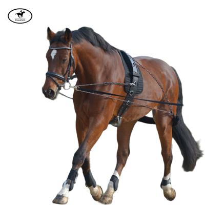 Waldhausen - Longiersystem CALEVO.com Shop