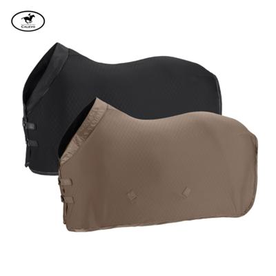 Eskadron Abschwitzdecke AERIAL JERSEY - PLATINUM 2025 CALEVO.com Shop