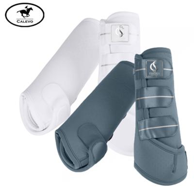 Eskadron - Gamaschen PRO DRESSAGE hind - CLASSIC SPORTS 2025 CALEVO.com Shop