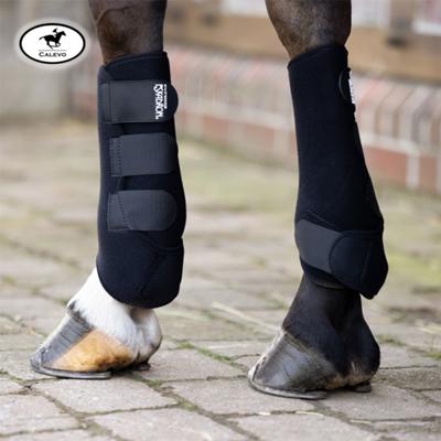 Eskadron - Gamaschen PRO DRESSAGE hinten CALEVO.com Shop