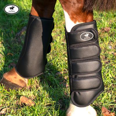 Calevo - Dressur Gamaschen PROTECT - Hinten CALEVO.com Shop