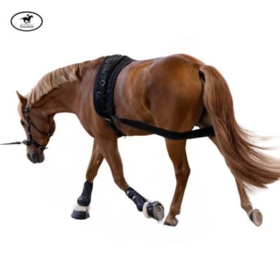 Waldhausen - K�rperbandage CALEVO.com Shop