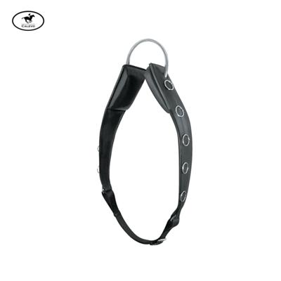 Passier - Leder Longiergurt Horst Becker CALEVO.com Shop