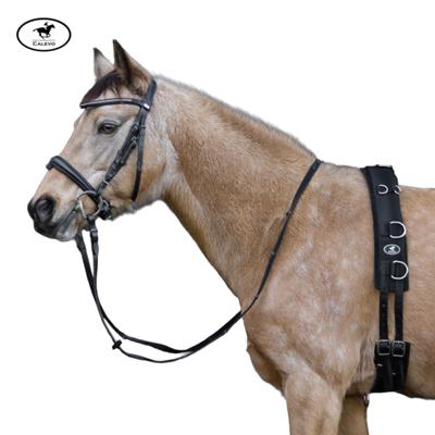 Calevo - Nylon Longiergurt TRAINING CALEVO.com Shop