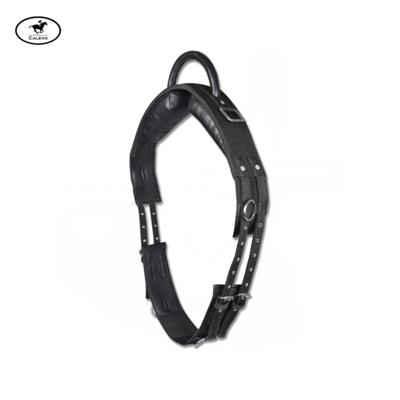 Waldhausen - Longiergurt mit Handgriff CALEVO.com Shop