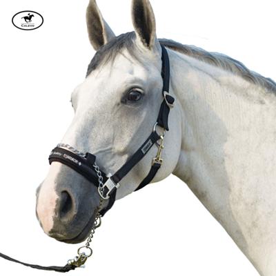 Eskadron - Halfter mit F�hrkette CONTROL CALEVO.com Shop