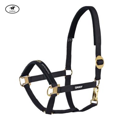 Eskadron - Halfter SLIDING BUCKLE GOLD -- CALEVO.com Shop