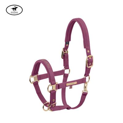 Eskadron - Halfter GIRTH DOUBLE PIN - HERITAGE 2025 -- CALEVO.com Shop