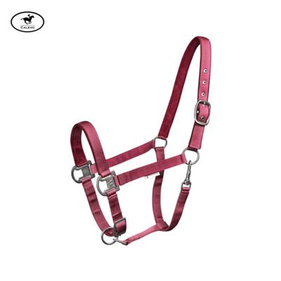 Waldhausen - Halfter GLOOMY -- CALEVO.com Shop