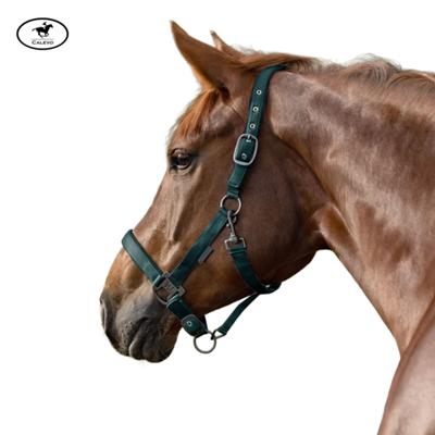 Waldhausen - Halfter GLOOMY -- CALEVO.com Shop