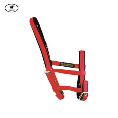 Kieffer - Stallhalfter FOHLEN -- CALEVO.com Shop