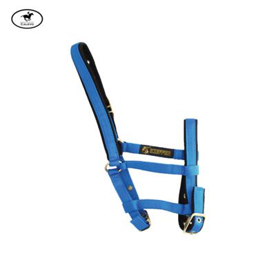 Kieffer - Stallhalfter FOHLEN -- CALEVO.com Shop