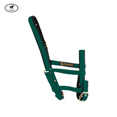 Kieffer - Stallhalfter FOHLEN -- CALEVO.com Shop