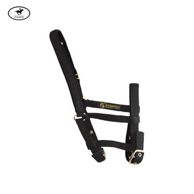 Kieffer - Stallhalfter FOHLEN -- CALEVO.com Shop