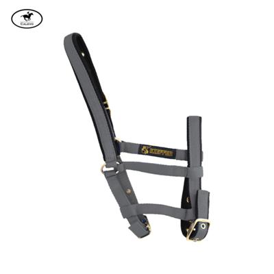 Kieffer - Stallhalfter FOHLEN CALEVO.com Shop