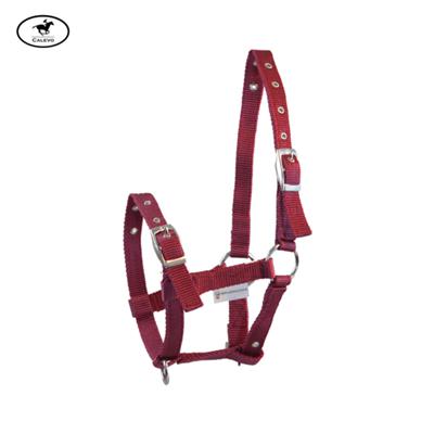 Waldhausen - Fohlenhalfter aus Nylon -- CALEVO.com Shop