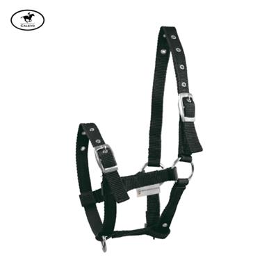Waldhausen - Fohlenhalfter aus Nylon -- CALEVO.com Shop