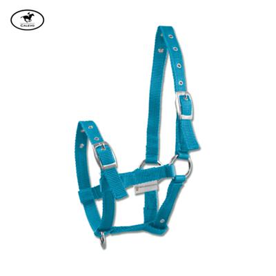 Waldhausen - Fohlenhalfter aus Nylon -- CALEVO.com Shop