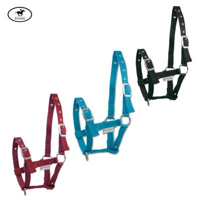 Waldhausen - Fohlenhalfter aus Nylon CALEVO.com Shop