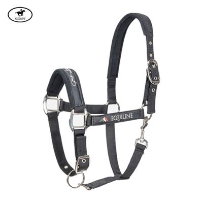 Equiline - Halfter TIMMY -- CALEVO.com Shop