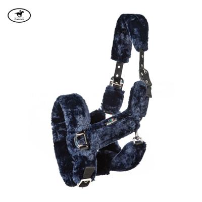 Equiline - Halfter TERRIS -- CALEVO.com Shop