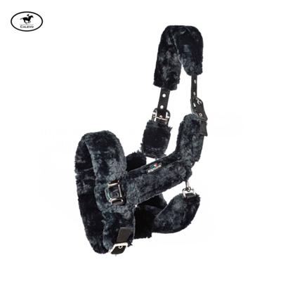 Equiline - Halfter TERRIS -- CALEVO.com Shop