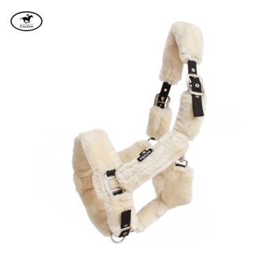 Equiline - Halfter TERRIS CALEVO.com Shop