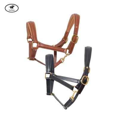 Schumacher - Lederhalfter CALEVO.com Shop