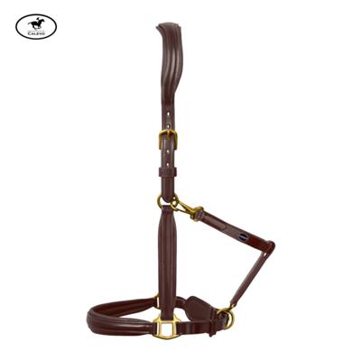 Passier - Leder Stallhalfter -- CALEVO.com Shop