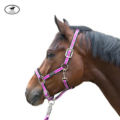 Calevo - Stallhalfter STRIPES -- CALEVO.com Shop