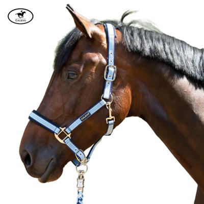 Calevo - Stallhalfter STRIPES -- CALEVO.com Shop