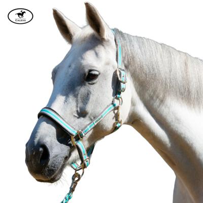 Calevo - Stallhalfter STRIPES -- CALEVO.com Shop