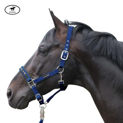 Calevo - Stallhalfter Classic DIAMOND -- CALEVO.com Shop