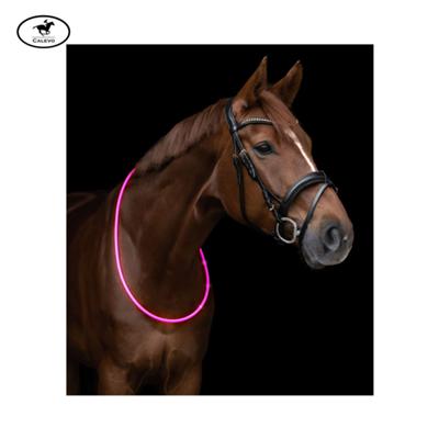 Waldhausen - LED Halsriemen f�r Pferde -- CALEVO.com Shop