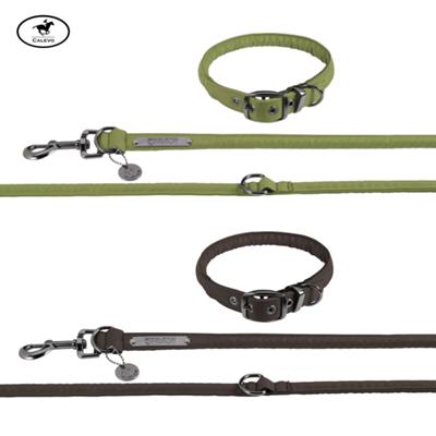 Eskadron - Hunde Set FAUX LEATHER - PLATINUM 2024 CALEVO.com Shop