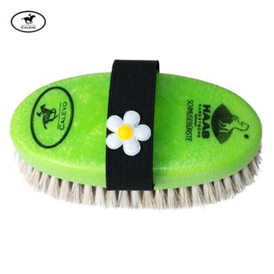 Haas - Schmuseb�rste BL�MCHEN CALEVO.com Shop