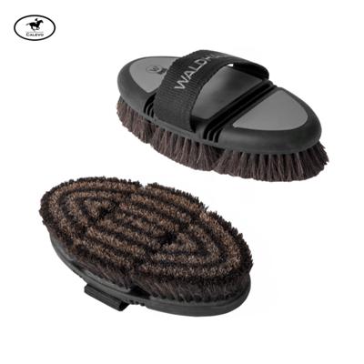 Waldhausen - FLEX Kard�tsche ROSSHAAR -- CALEVO.com Shop