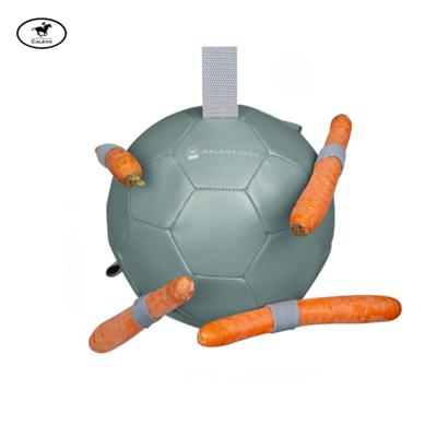 Waldhausen - Karottenball CALEVO.com Shop