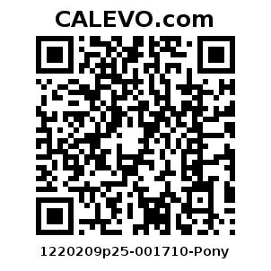 Calevo.com Preisschild 1220209p25-001710-Pony